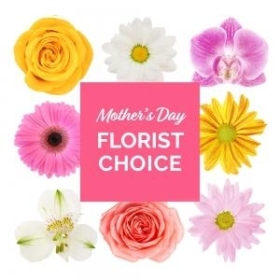 Mothers Day Florist Choice