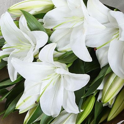 White Lillies