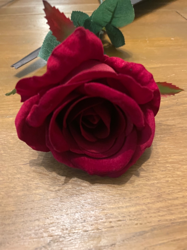 Single Red Rose
