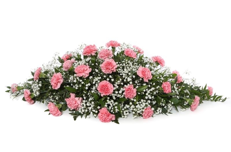 Carnation Coffin Spray