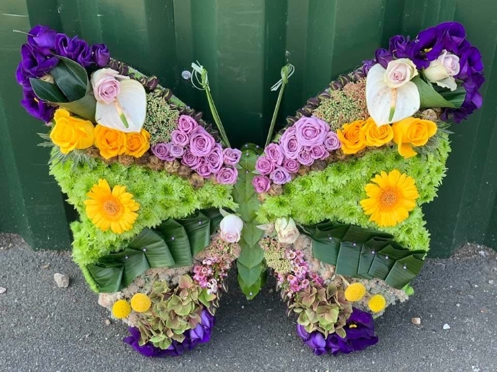 Butterfly