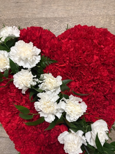 Carnation Heart